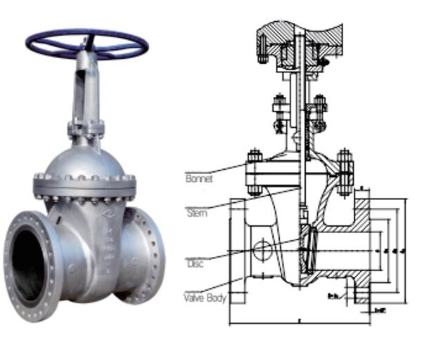 ansi api gate valve