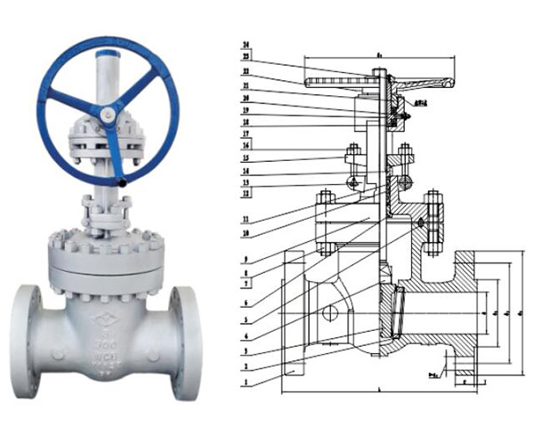 ansi api gate valve