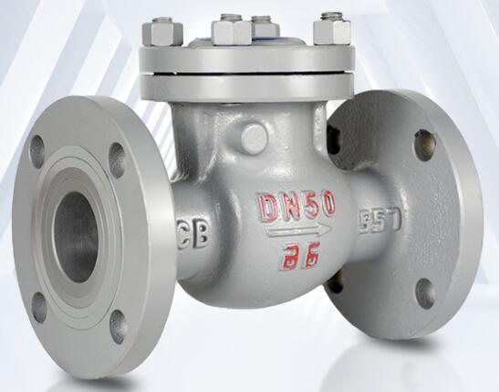 swing check valve