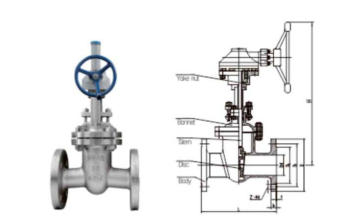 flanged gear gate valve stainless steel