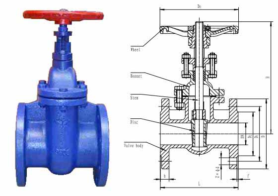 wedge gate valve Nrs