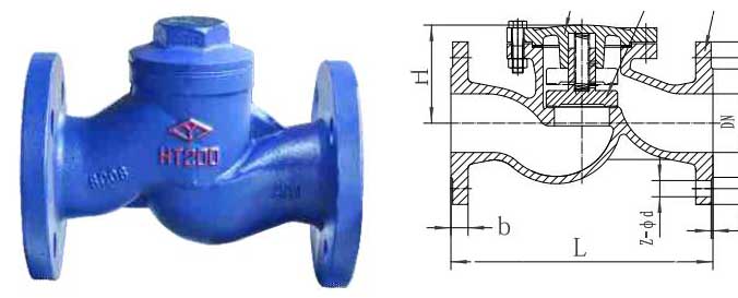 lift check valve