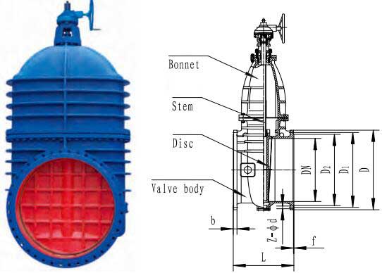 wedge gate valve nrs