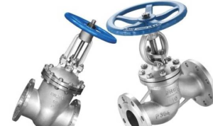 gate valve globe valve