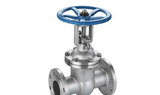 gate valve ss type