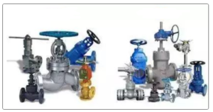 Globe Valves and Gate Valves