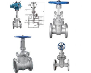 Válvula de compuerta de acero inoxidable Farpro Yuanda